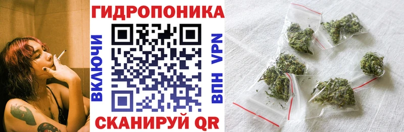 Где купить Северская ГАШ Cocaine Меф Codein Бошки Шишки