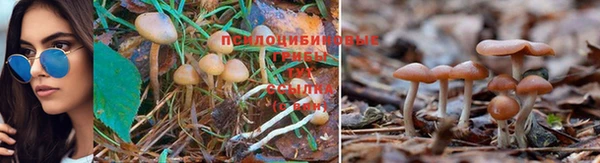 мяу мяу кристалл Слюдянка