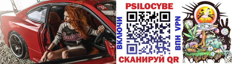 Псилоцибиновые грибы Psilocybe  Северская 
